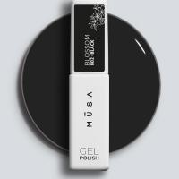 Blossom black