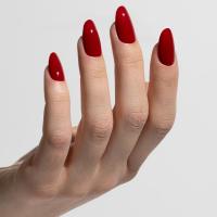 Chili pepper 2