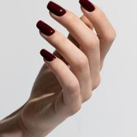 Merlot2