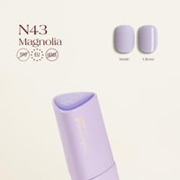 N43 1