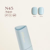 N45 1