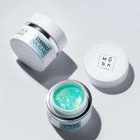 Stardust ocean 2